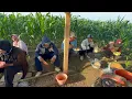 Download Lagu GEGER PERKORO DALAN NAK DI WENEI DALAN ORA DANG SUGEHHH