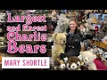 Largest and Rarest Charlie Bears