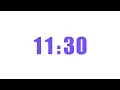 11 Minute 30 Seconds Timer