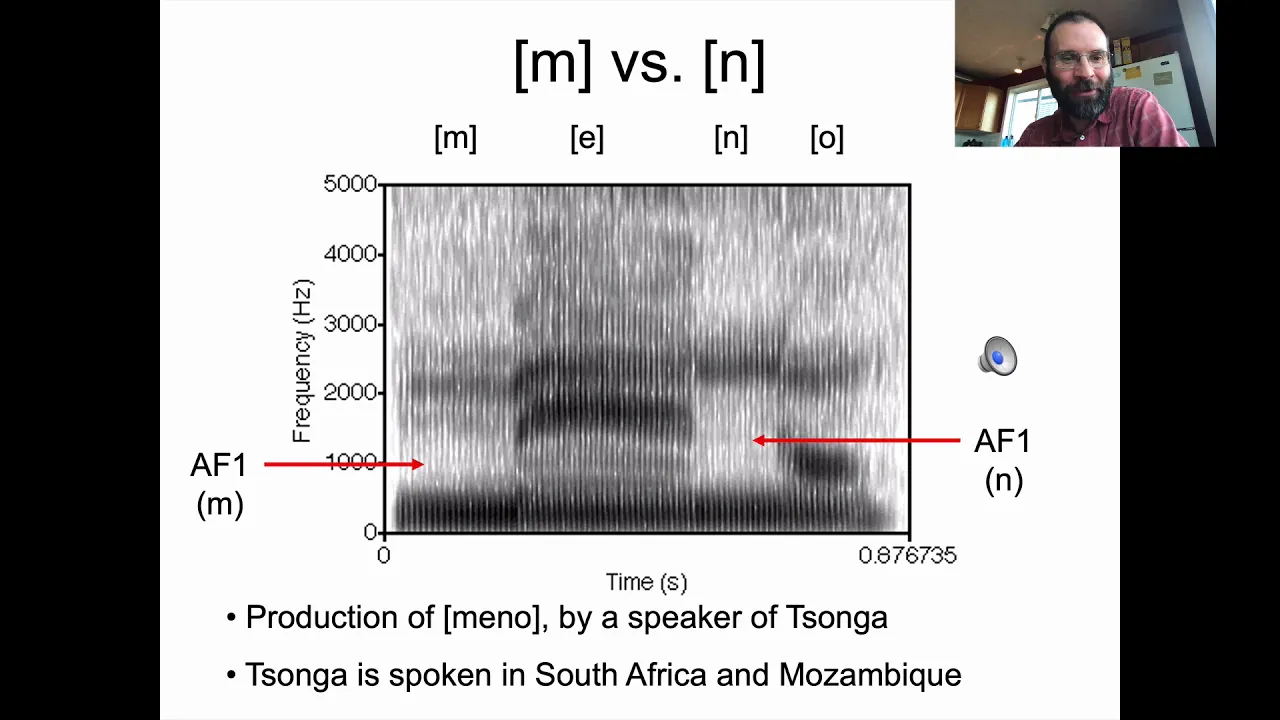 Ling 441 - Advanced Phonetics - Nasal Acoustics, part 2