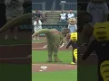 Dinosaur throws out first pitch at Minor League game -