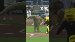 Dinosaur throws out first pitch at Minor League game -