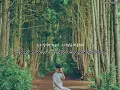 Download Lagu \