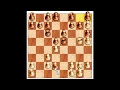 Play Chess Against the Computer Medium