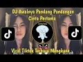 Download Lagu DJ AWALNYA PANDANG PANDANGAN HABIS ITU SENYUM SENYUMAN || CINTA PERTAMA VIRAL TIKTOK TERBARU