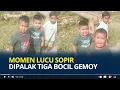 Download Lagu Momen Lucu Sopir Dipalak Tiga Bocil Gemoy, Bak Preman Kampung, Ada yang Mirip Rigen