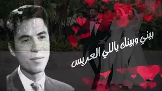 ماهر العطار    ايوة يا واد و عرفت تنقي   اجمل اغاني الافراح   ف يديو                    دندنها