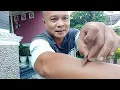 Download Lagu Rahasia ilmu kebal dengan silet yg langsung bisa dipraktekkan. Hati hati penipuan!!