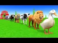 Lagu Long Slide Game with Cow Elephant Gorilla Hippopotamus Tiger 3d Animal Game Funny 3d Animals#1m 