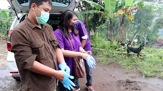 Download Sampling Darah pada Anjing Prevaksinasi Rabies di Desa Sukawangi, Kec. Pamulihan, Kabupaten Sumedang MP3