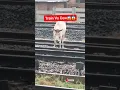 Train vs Cow Train Accident Live Train Cow Accident Train short