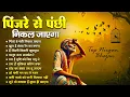 Lagu पिंजरे से पंछी निकल जाएगा | O Paapi Man Karle Bhajan | Latest Nirgun Bhajan | #Nirgun Bhajan