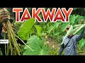 Download Lagu P1 - Lakad na may Konting Takway