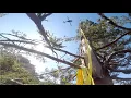 Helicopter Tree Removal Part 1