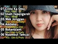 Download Lagu Lagu Dayak Cover Terbaru 2025 Versi Orgen Tunggal 