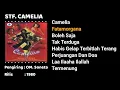 STF. CAMELIA