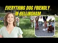 Everything Dog Friendly In Bellingham WA Bellingham Local living Dani Colito