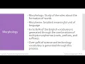 Lecture Morphological Development