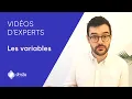 Lagu Les variables - Paroles d'experts | dydu, expert en bot