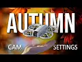 Lagu Best DJI Neo Settings For Epic Autumn Shots