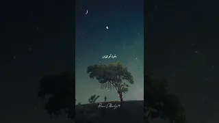 انا من غيرك بتوه توهان بدون موسيقى 