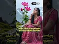 Download Lagu #VidalaPullaNesathukku#PeriyaMarudhu#Ilaiyaraaja#Swarnalatha#vijayakanth#vijayakanthmovie#melodysong