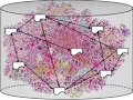 Distributed RDF Data Management and SPARQL Query Processing