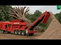 Download Lagu Dangerous Tree Shredder and Wood Chipper crushing machines | Monster Stump Removal Excavator #85
