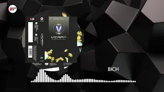 Download V Cara - Bitch (Official Audio) MP3