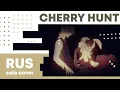 Download Lagu 【Cat】Royal Scandal – Cherry Hunt【RUS cover】