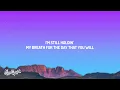 Drake - Falling Back (Lyrics)