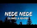 Download Lagu Nede Nede (Slowed \u0026 Reverb)