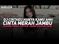 DJ CINTAKU HANYA KAMU AHH CINTA MERAH JAMBU SLOW VIRAL TIKTOK FULL SONG MAMAN FVNDY 2025