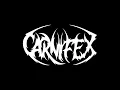 Carnifex - Lie To My Face