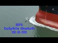 SPI Dolphin Watch 22