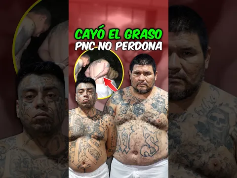 ¡Cayeron 'El Graso' y 'La Pizza'! #elsalvador #bukele #seguridad