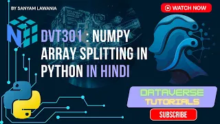 Lecture 9 - Why np split Fails Learn array