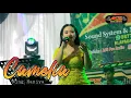 Download Lagu CAMELIA - Ning Haniya - ACS Pro Audio (live)