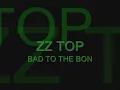 BAD TO THE BONE