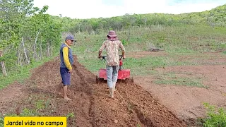 eu e meu pai preparando a terra  plantando milho e feijão.. micro trator nota 1000 👍🤠