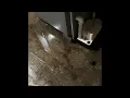 Condensation leak Fennville