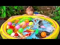 Download Lagu Mencampur Bayi Ikan \u0026 Ikan Besar Banyak Banget, Ikan Koi, Patin, Lele, Nila, Gurame, Koki,Kura-kura