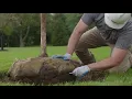 How to Plant a Tree Part 1 Planting Your Tree the Right Way