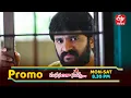 Download Lagu Manasantha Nuvve Latest Promo | Episode No 1149 | 22nd September 2025 | ETV Telugu