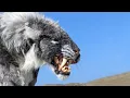 Download The most dangerous animals in the world mp4 3gp mp3 videos - waplic