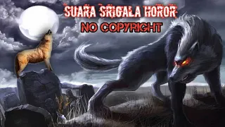 Download Suara Srigala Seram mencekam | suara srigala horor no copyright MP3