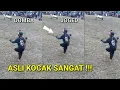 Download Lagu NGAKAK PARAH !!! Joged Lucu Di Pamidangan Domba Garut