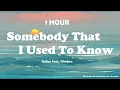 Download Lagu Gotye - Somebody That I Used To Know (feat. Kimbra) ( 1 Hour )