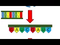 Download Lagu An Introduction to siRNA - The Gene Silencing Ninja!