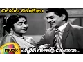 Download Lagu Chitapata Chinukulu Songs | Ekkadiki Poothavu Video Song | Aatma Balam Movie | ANR | Saroja Devi